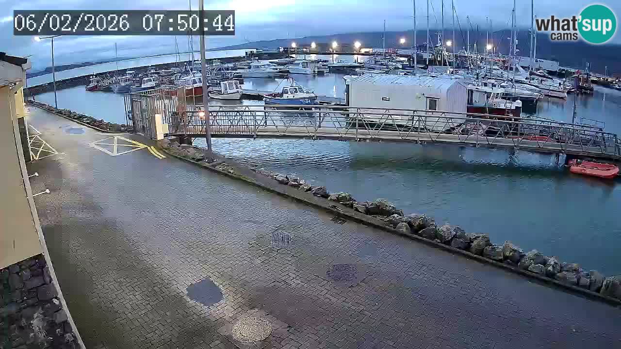 Fenit Marina camera en vivo