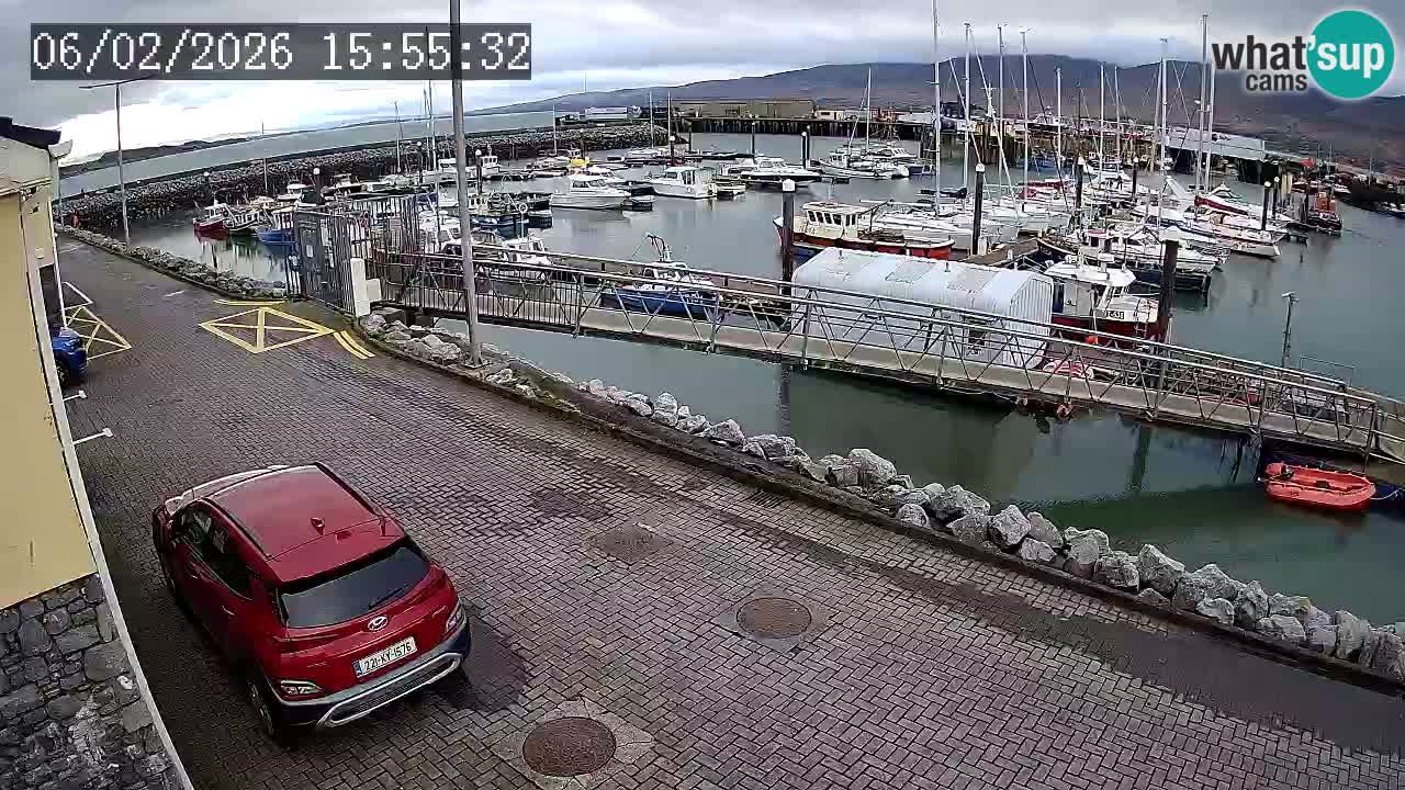 Fenit Marina camera en vivo