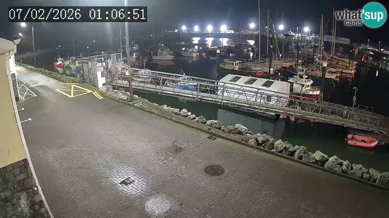 Fenit Marina web kamera