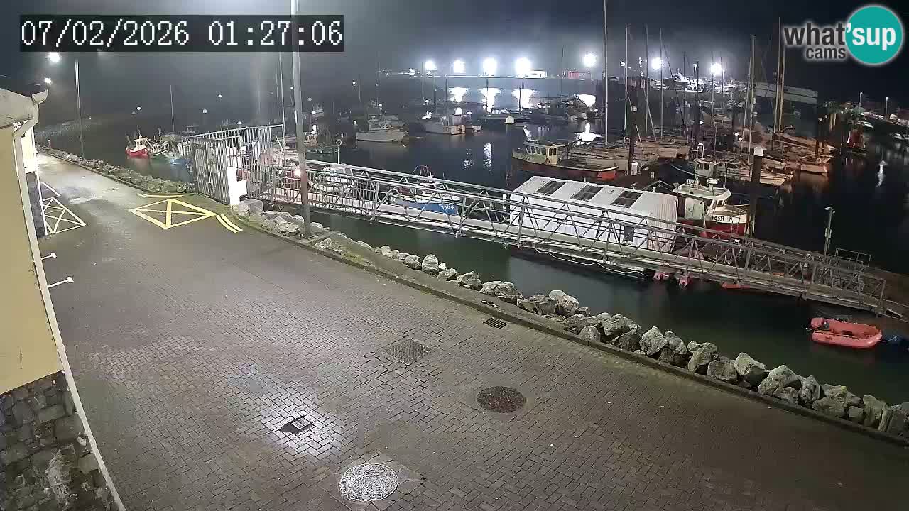 Fenit Marina spletna kamera