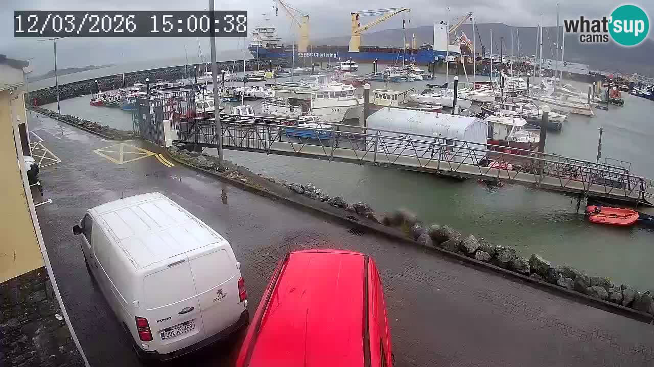 Fenit Marina livecam