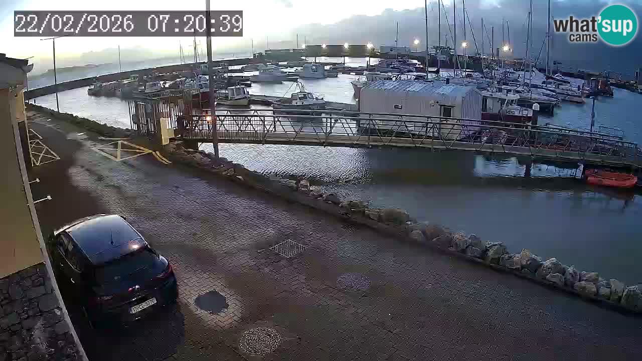 Fenit Marina webcam