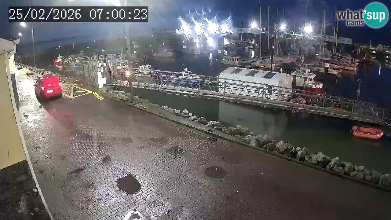 Fenit Marina spletna kamera