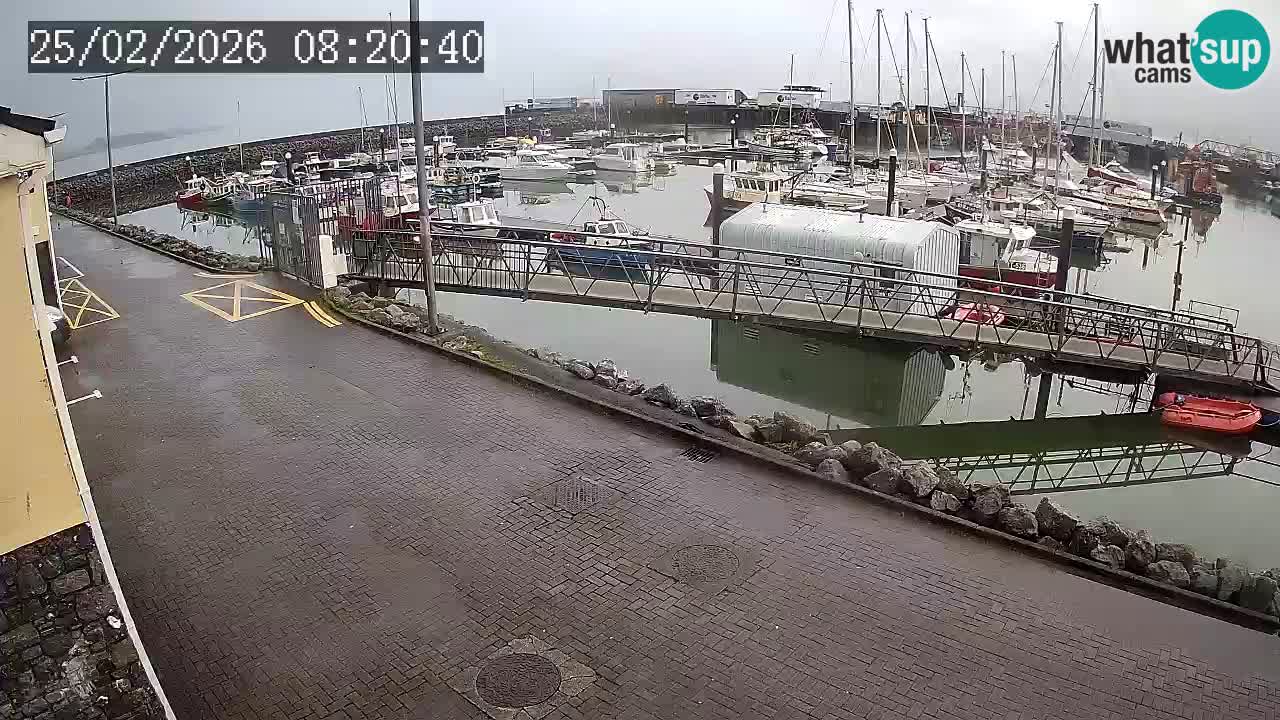 Fenit Marina webcam