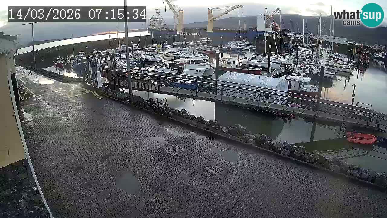 Fenit Marina livecam