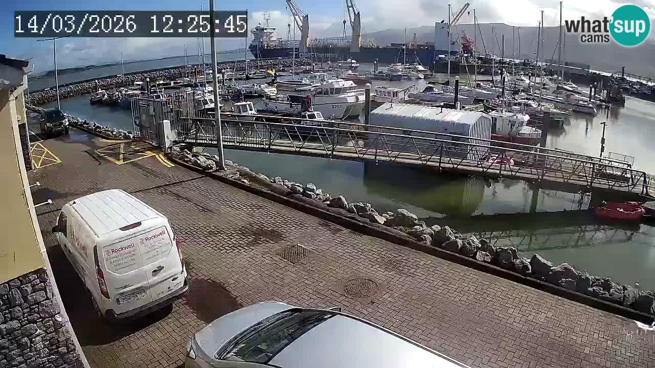 Fenit Marina webcam