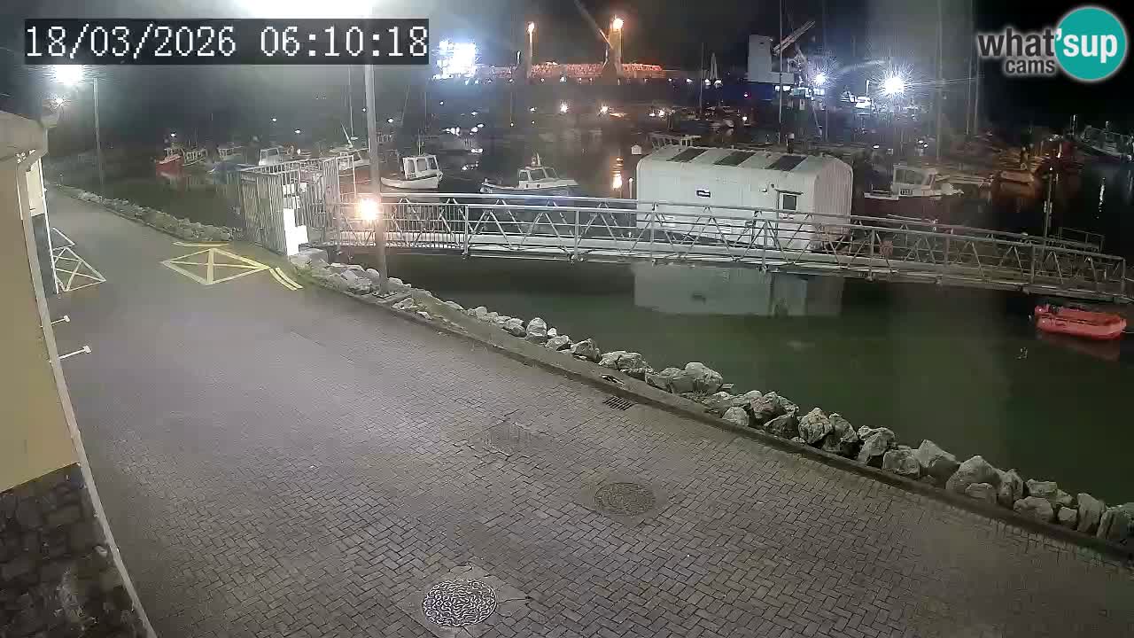 Fenit Marina livecam