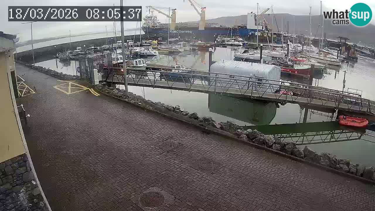 Fenit Marina web kamera
