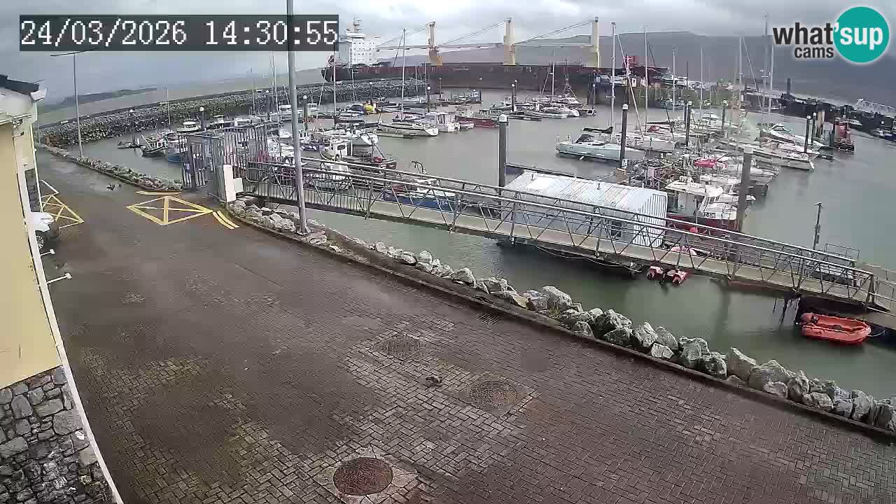 Fenit Marina webcam