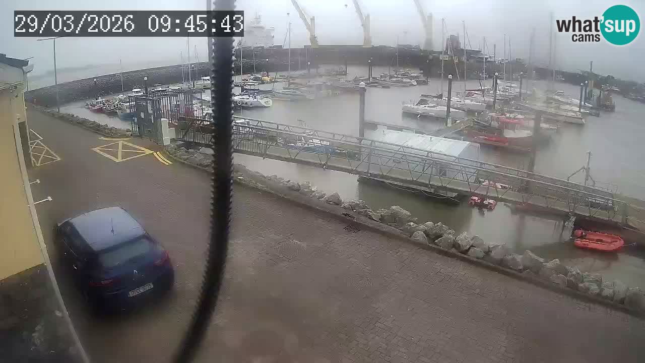 Fenit Marina livecam