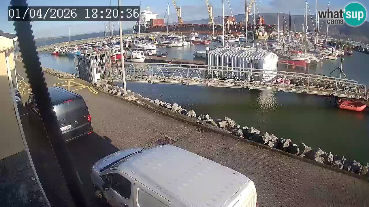 Fenit Marina livecam