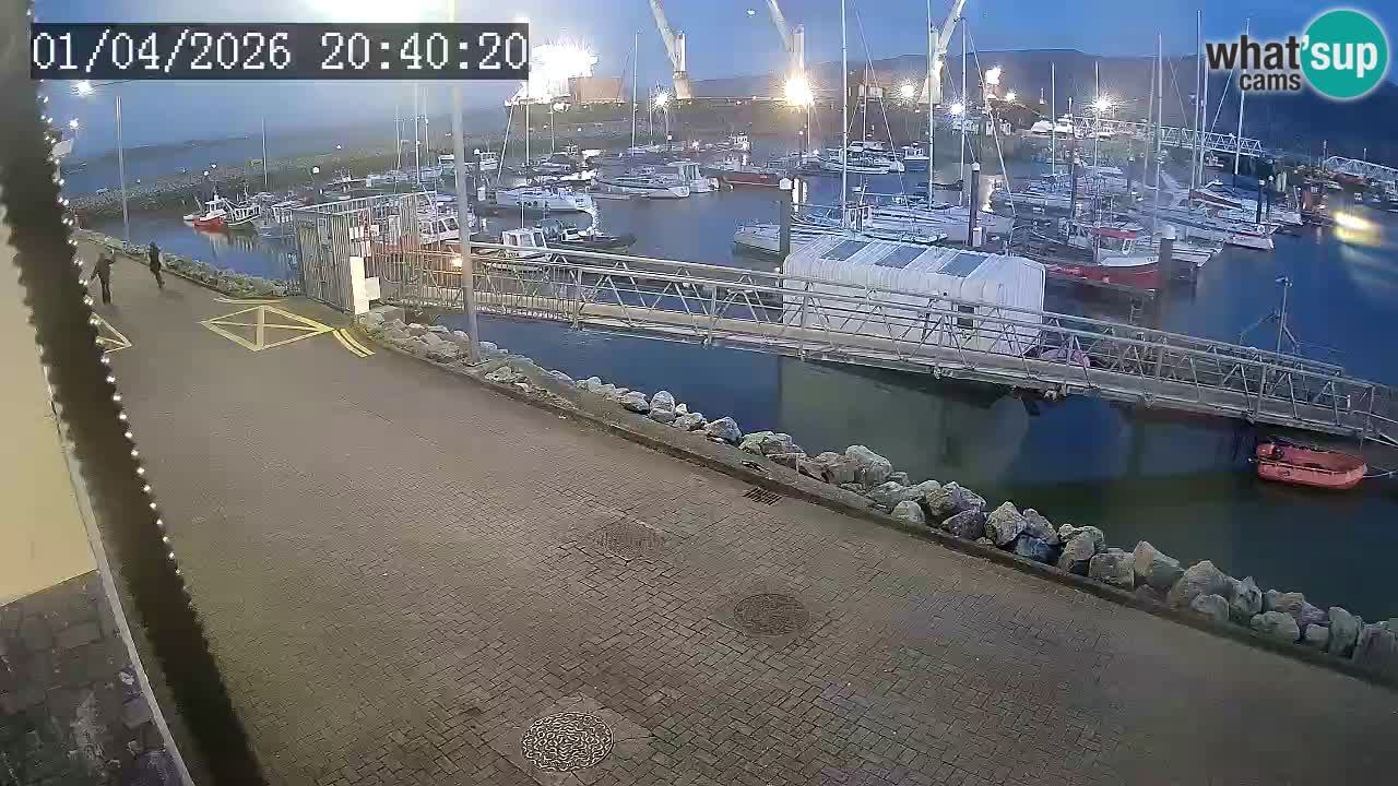 Fenit Marina spletna kamera