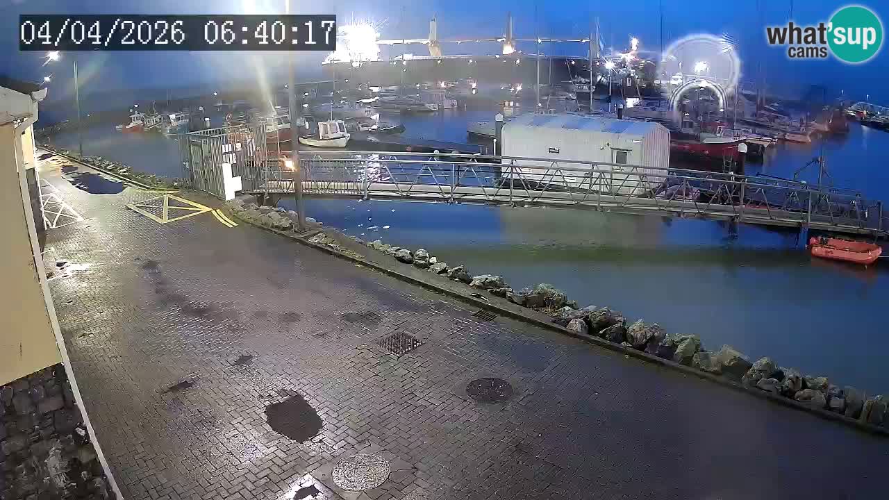 Fenit Marina livecam