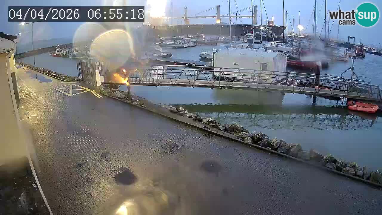 Fenit Marina live webcam