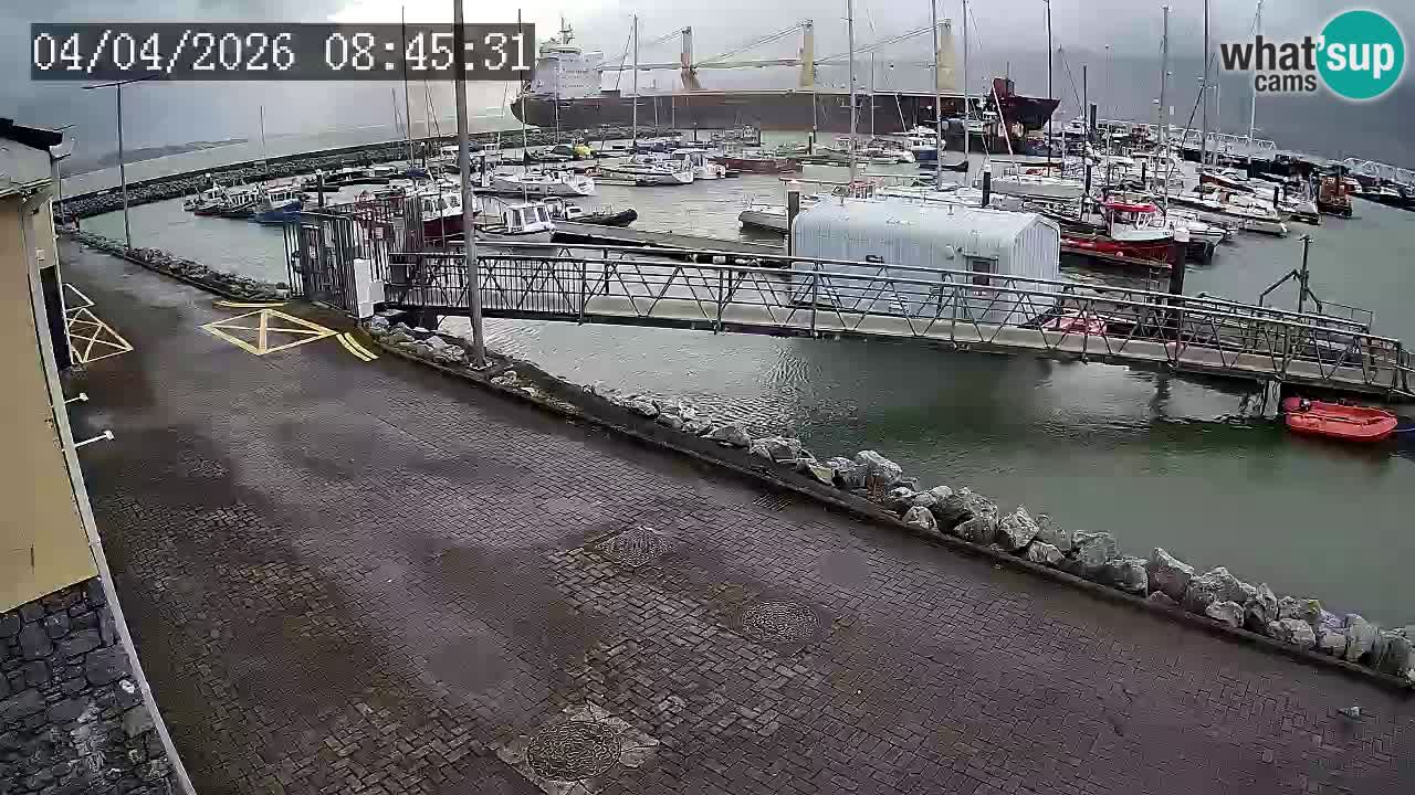 Fenit Marina camera en vivo