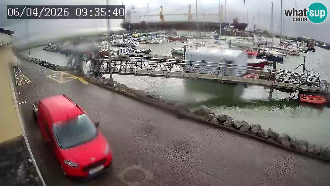 Fenit Marina webcam