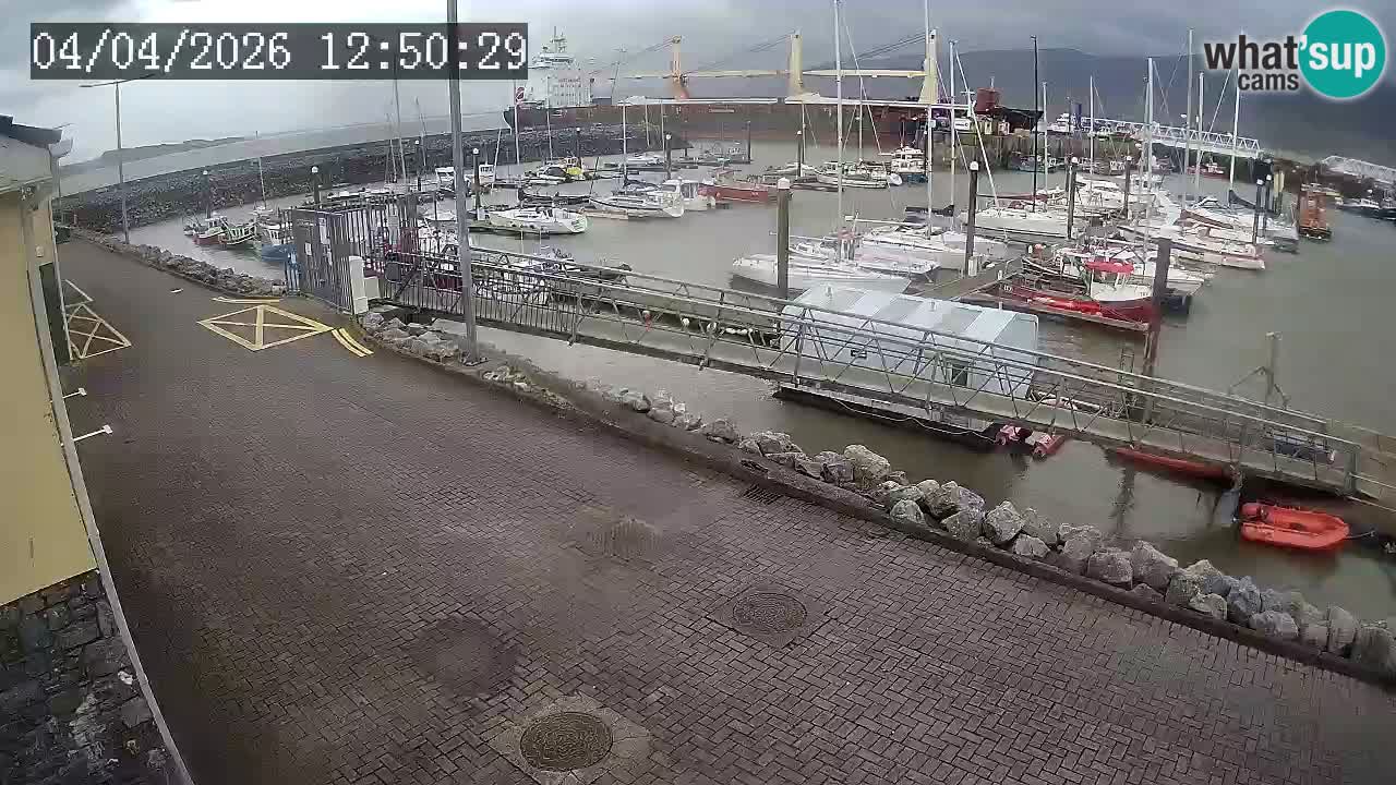 Fenit Marina spletna kamera
