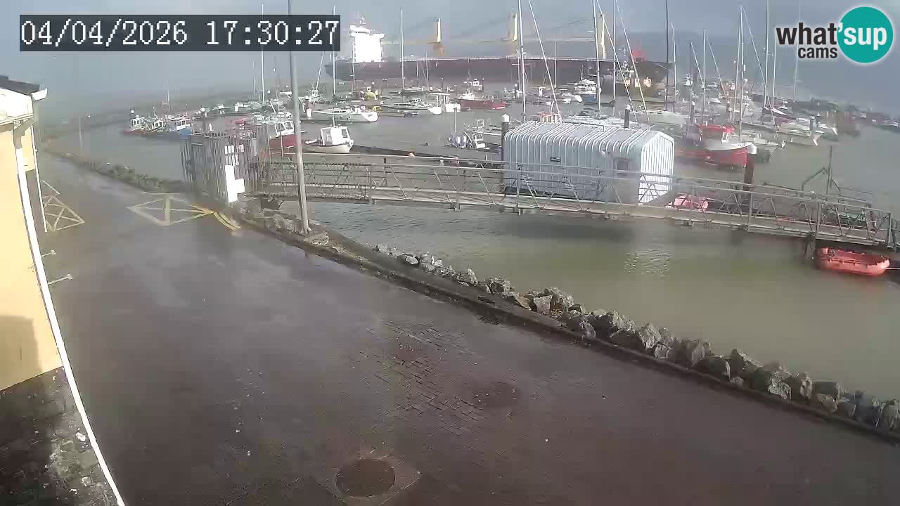 Fenit Marina web kamera