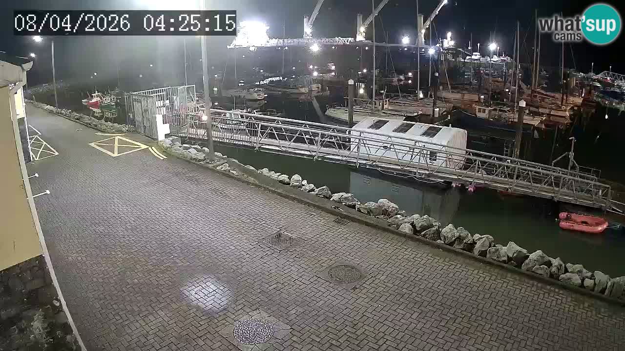 Fenit Marina livecam