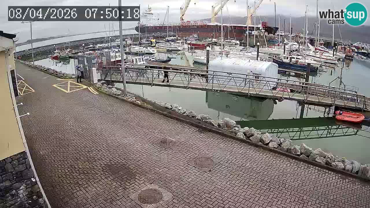 Fenit Marina web kamera
