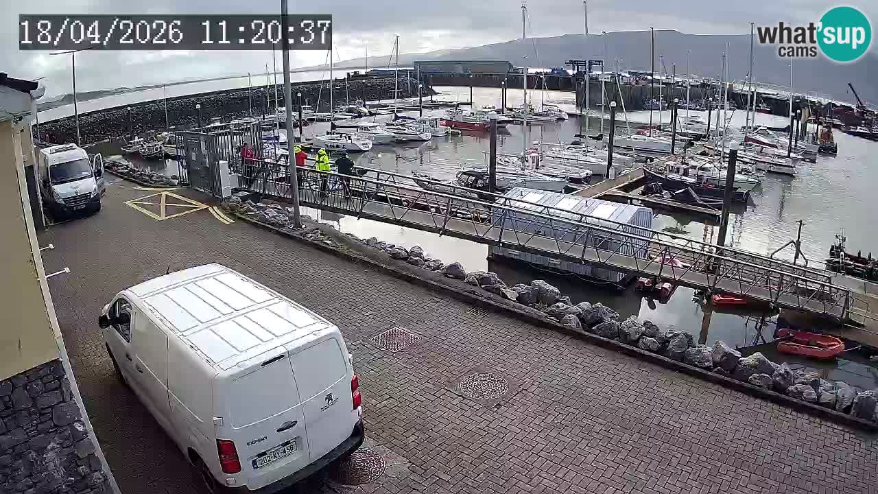 Fenit Marina spletna kamera