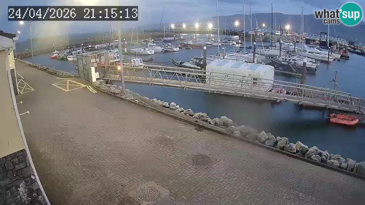 Fenit Marina livecam