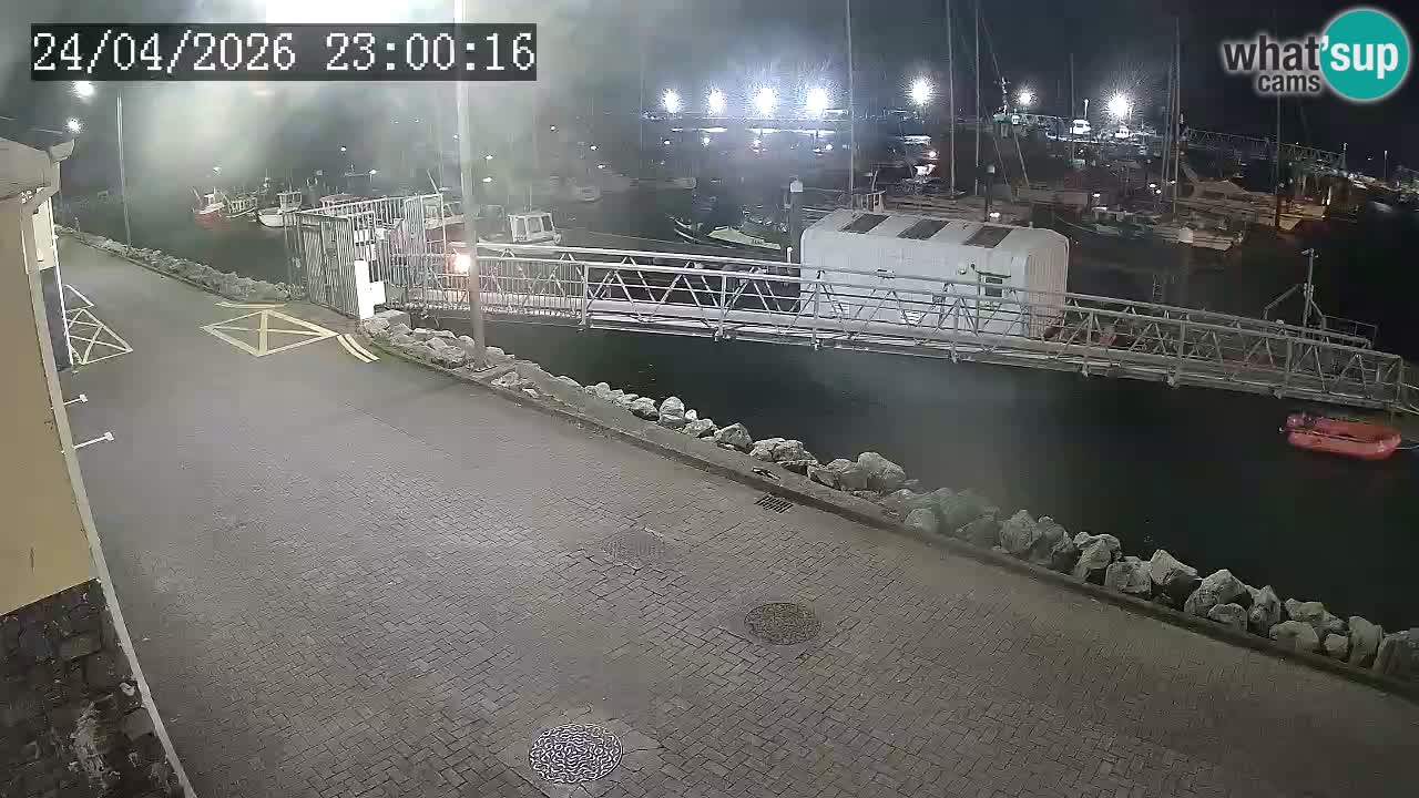 Fenit Marina live webcam