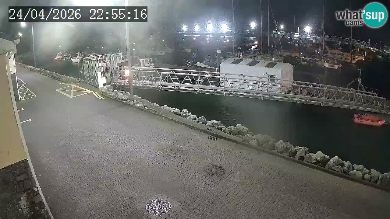 Fenit Marina web kamera