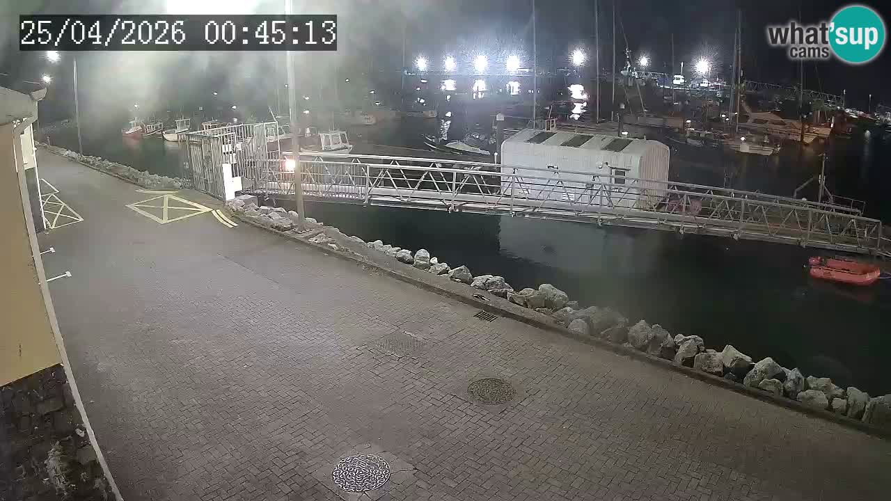 Fenit Marina camera en vivo
