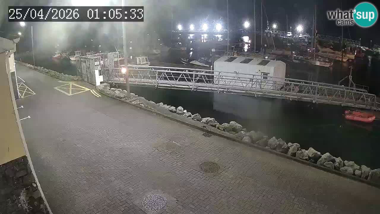 Fenit Marina webcam