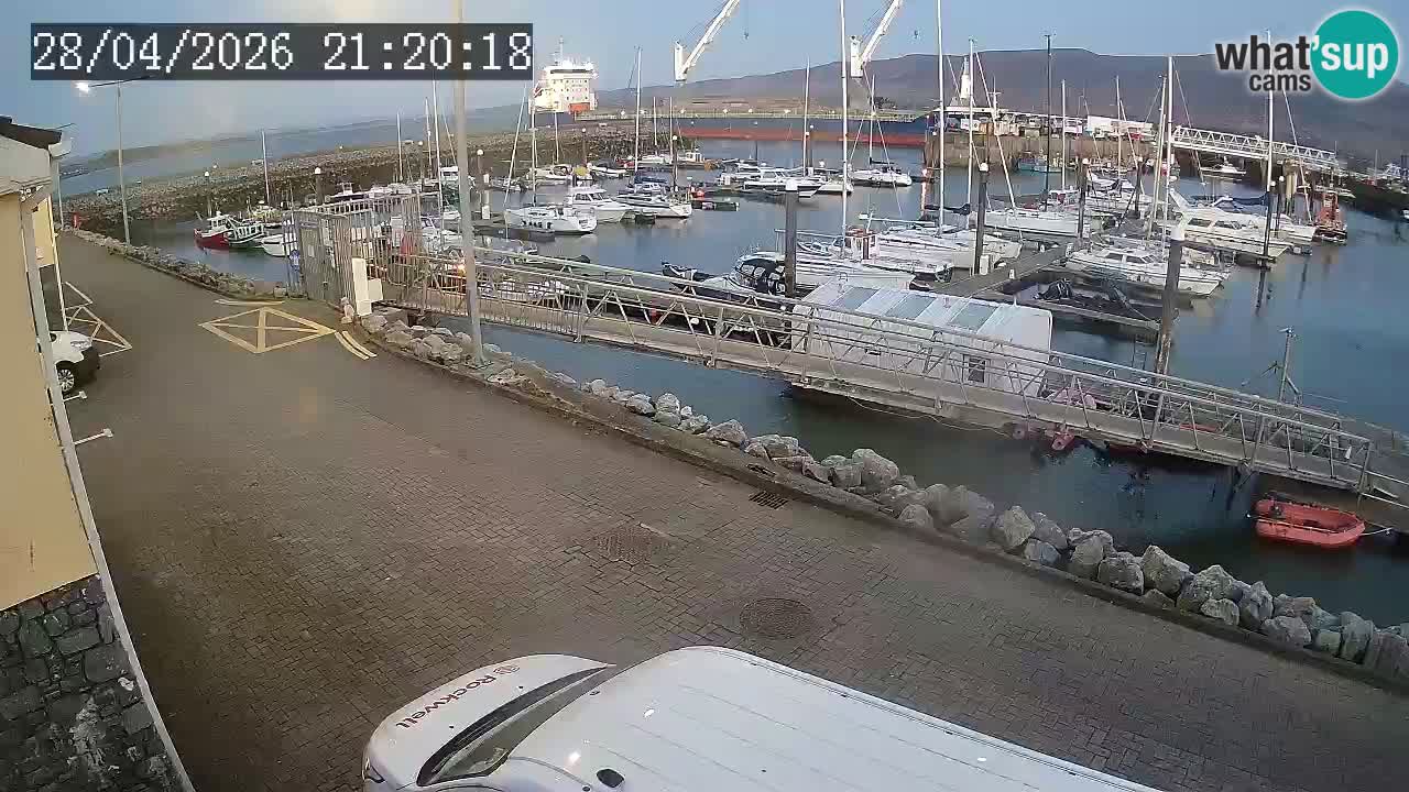 Fenit Marina livecam