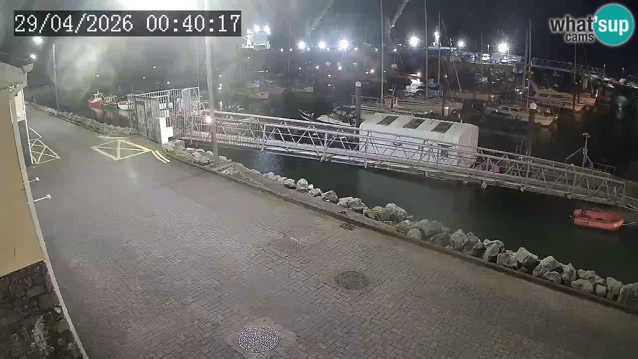 Fenit Marina webcam