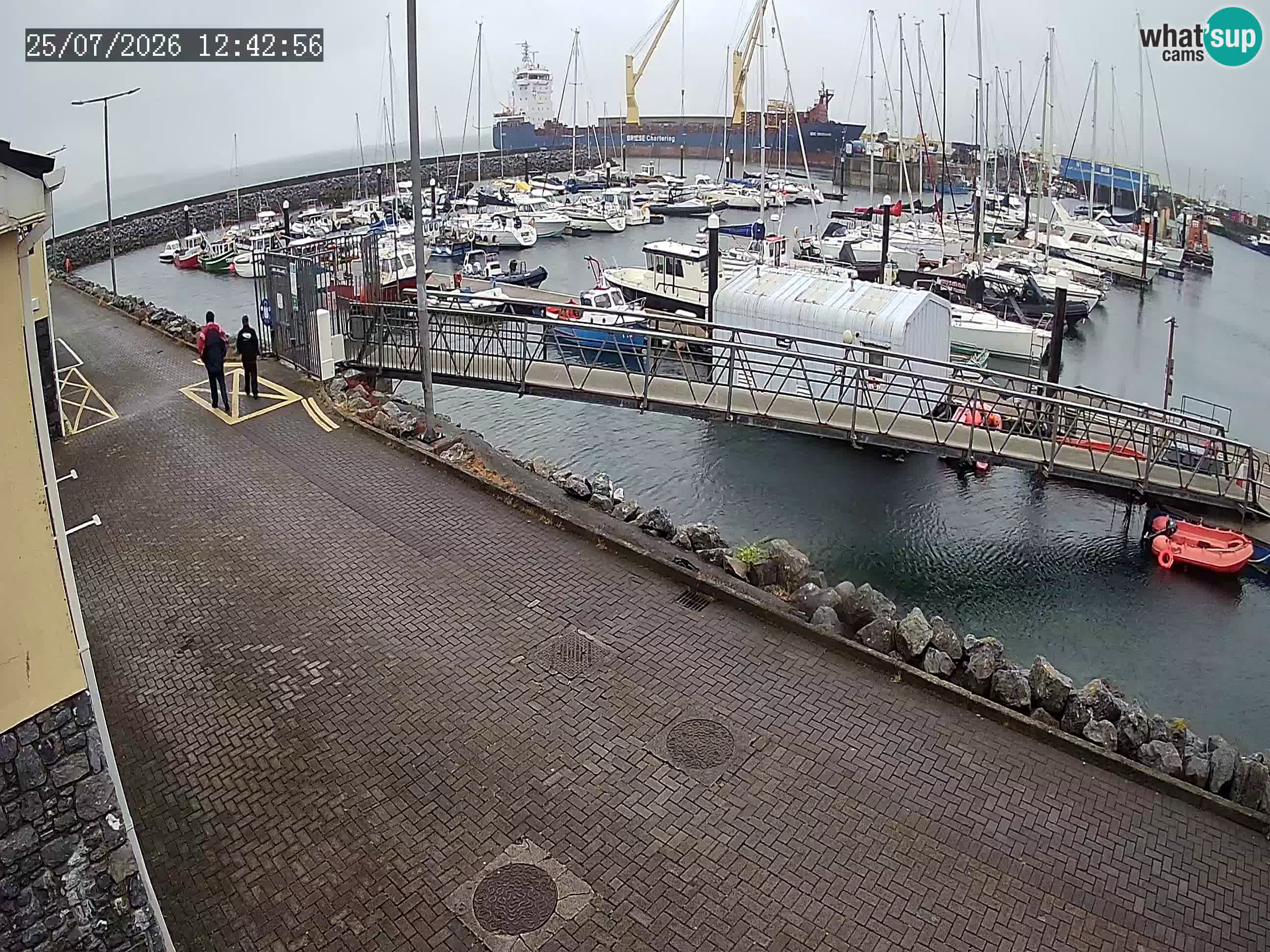 Fenit Marina camera en vivo
