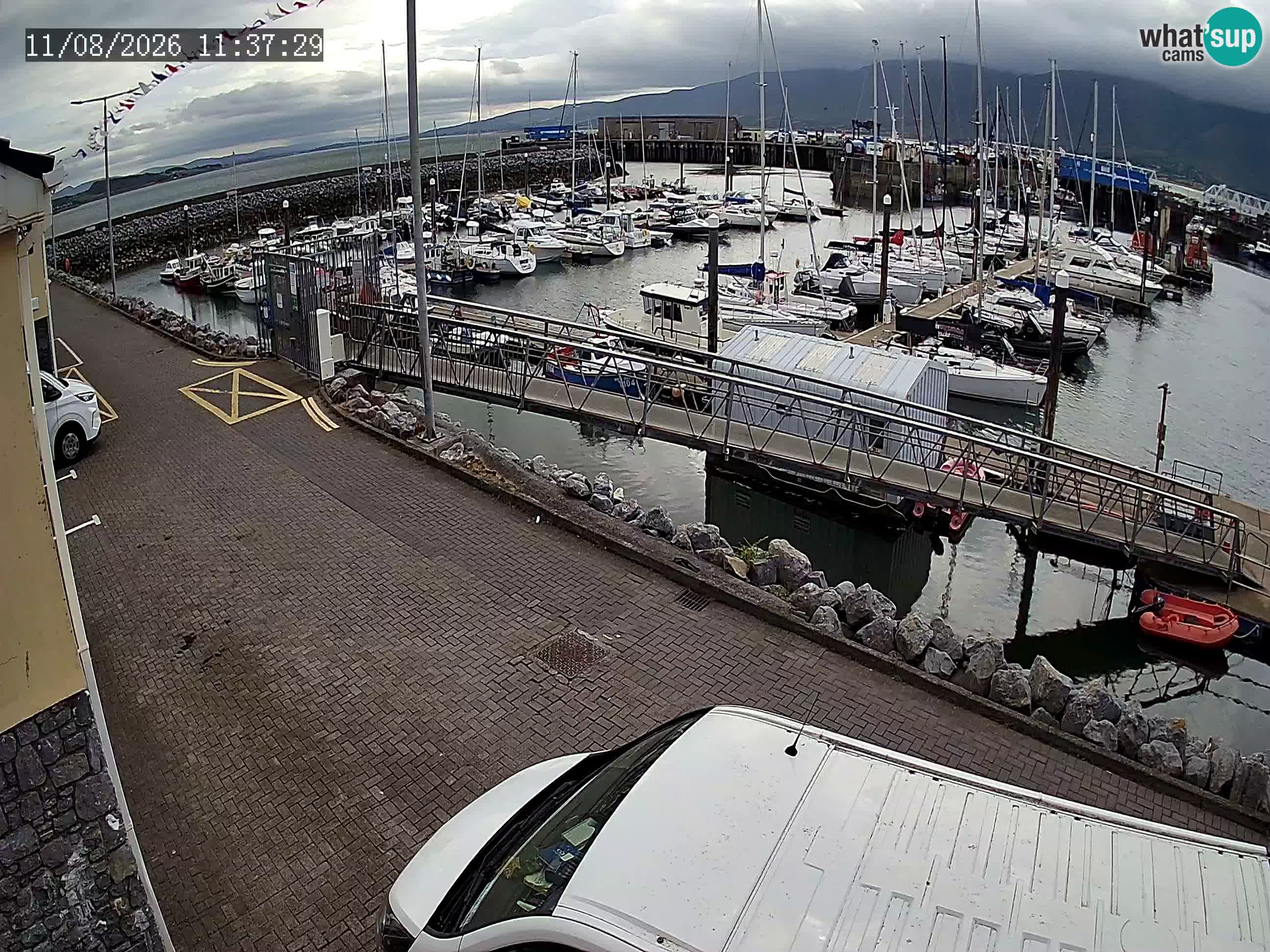Fenit Marina spletna kamera