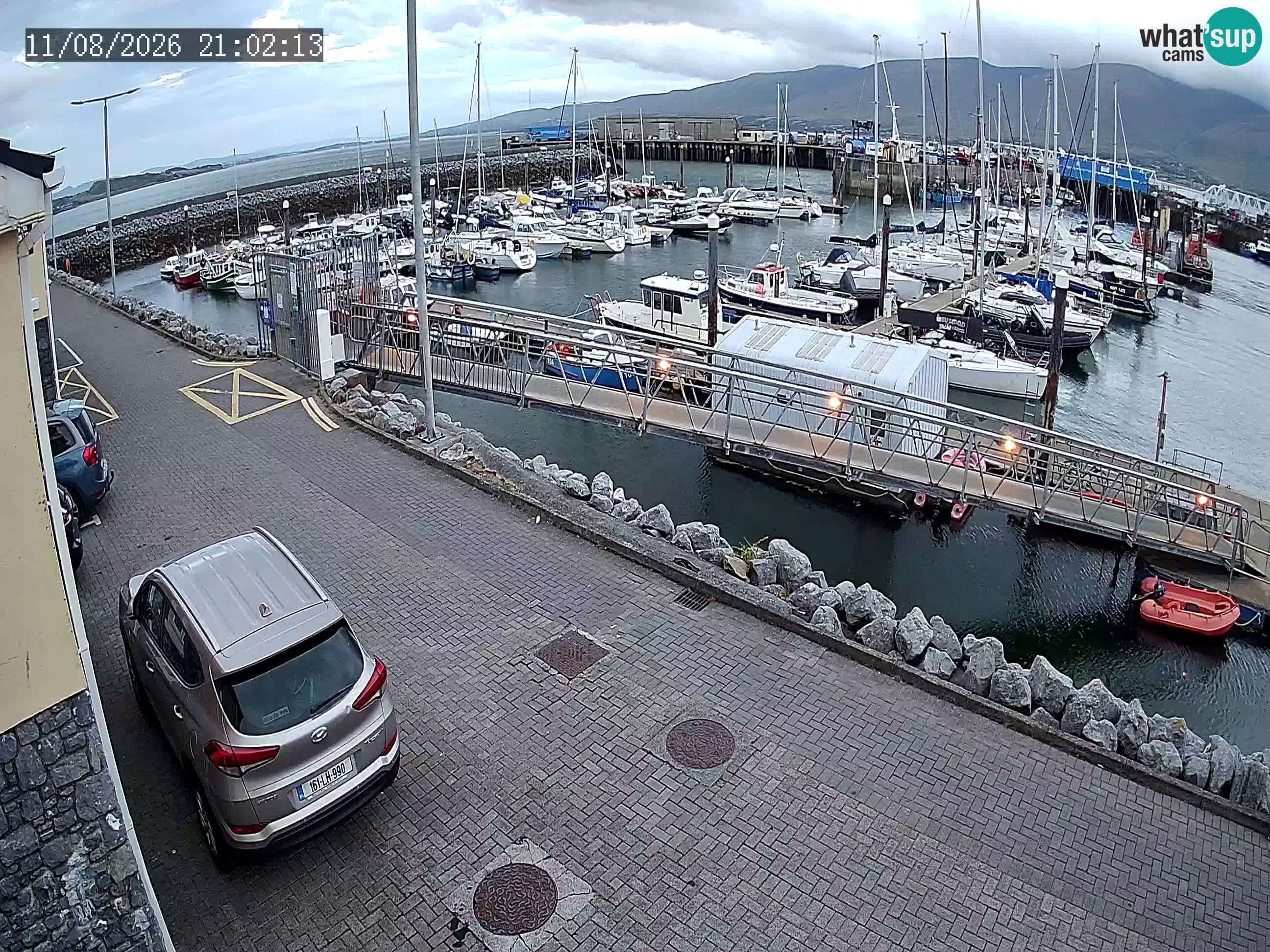 Fenit Marina livecam