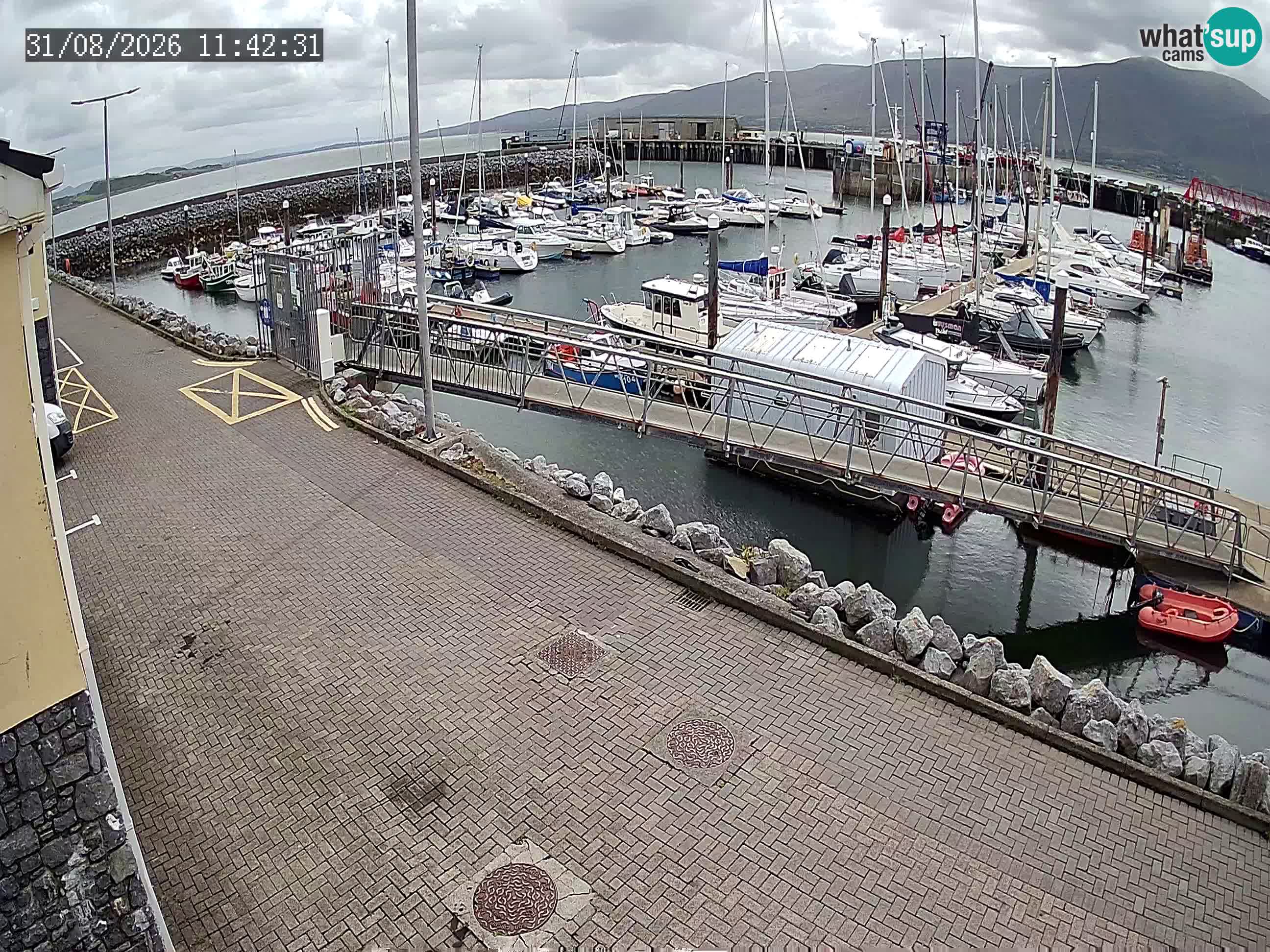 Fenit Marina spletna kamera