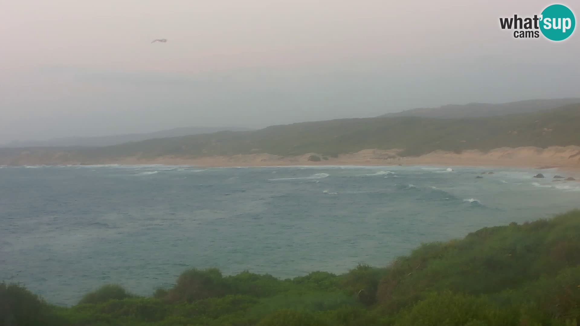 Webcam en direct de Naracu Nieddu Beach – Aglientu – Sardaigne