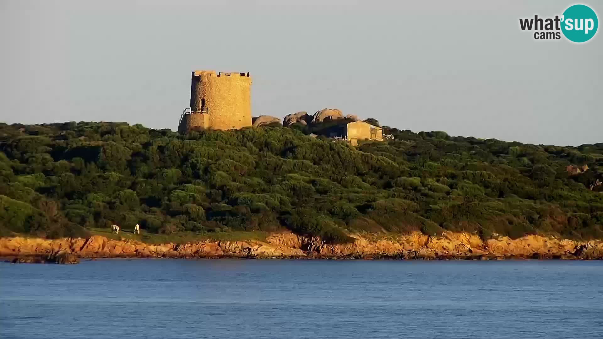 Vignola Mare Live webcam Aglientu – Sardinia