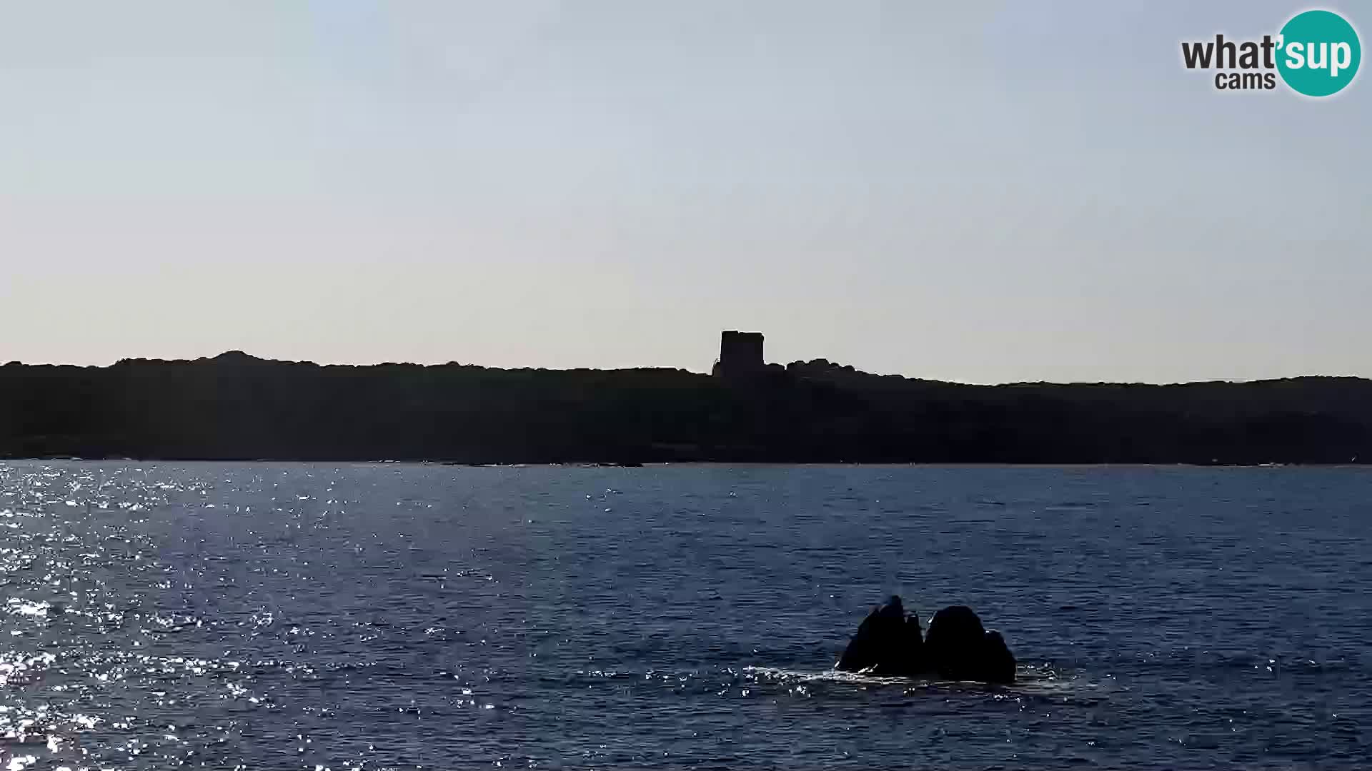 Vignola Mare Live webcam Aglientu – Sardinia