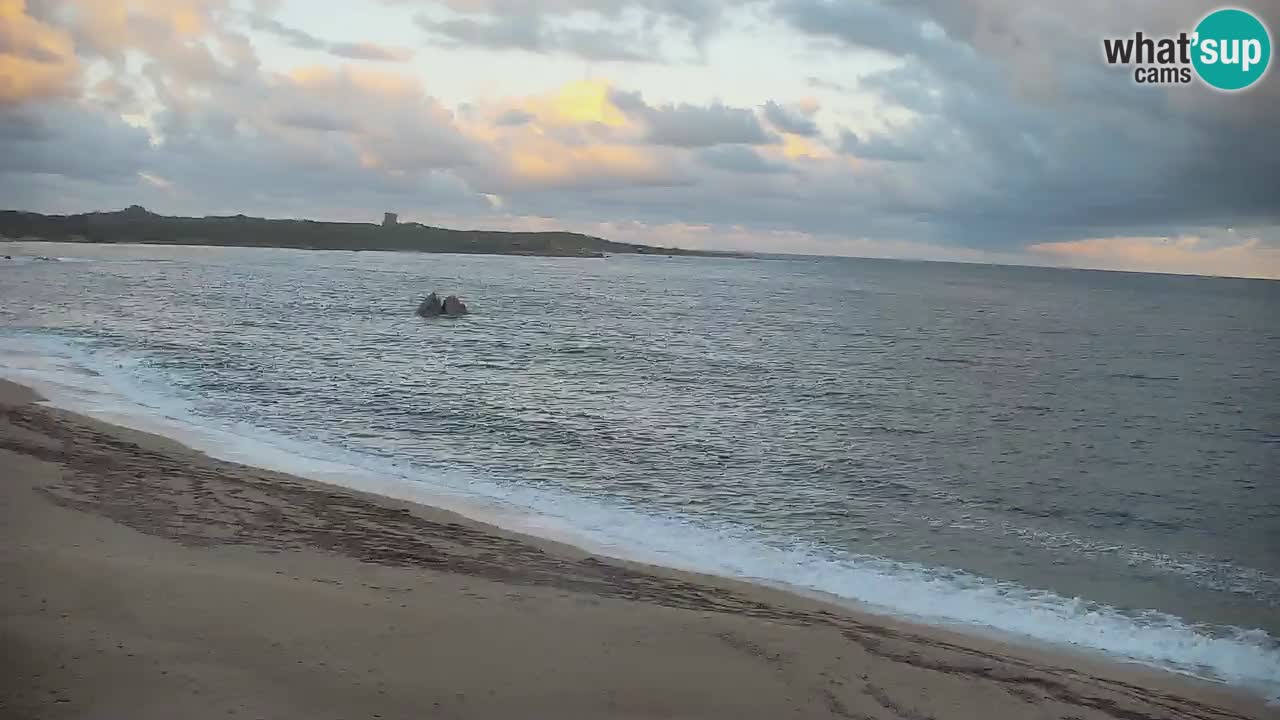 Vignola Mare Camera en Vivo Aglientu – Cerdeña