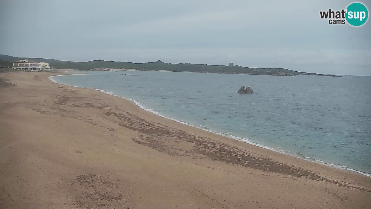 Vignola Mare Camera en Vivo Aglientu – Cerdeña