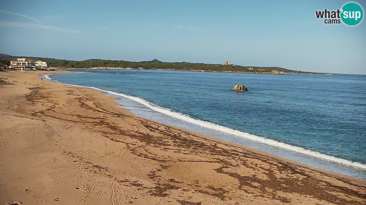 Vignola Mare Camera en Vivo Aglientu – Cerdeña