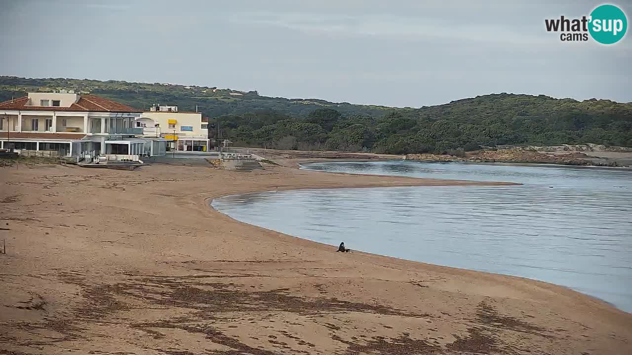 Strand Vignola Mare webcam Aglientu – Sardinien Live Cam