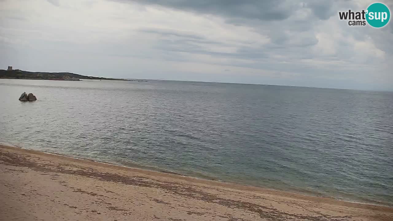 Vignola Mare Livecam Aglientu – Sardaigne