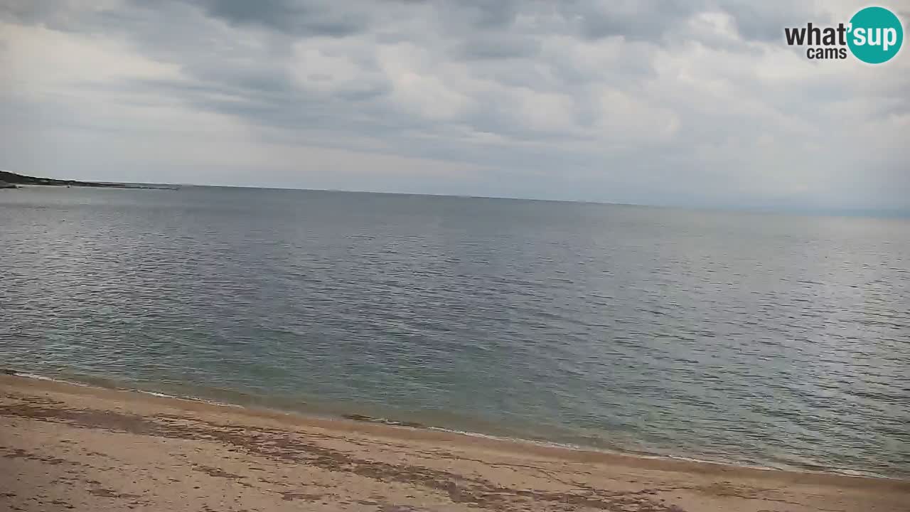 Strand Vignola Mare webcam Aglientu – Sardinien Live Cam