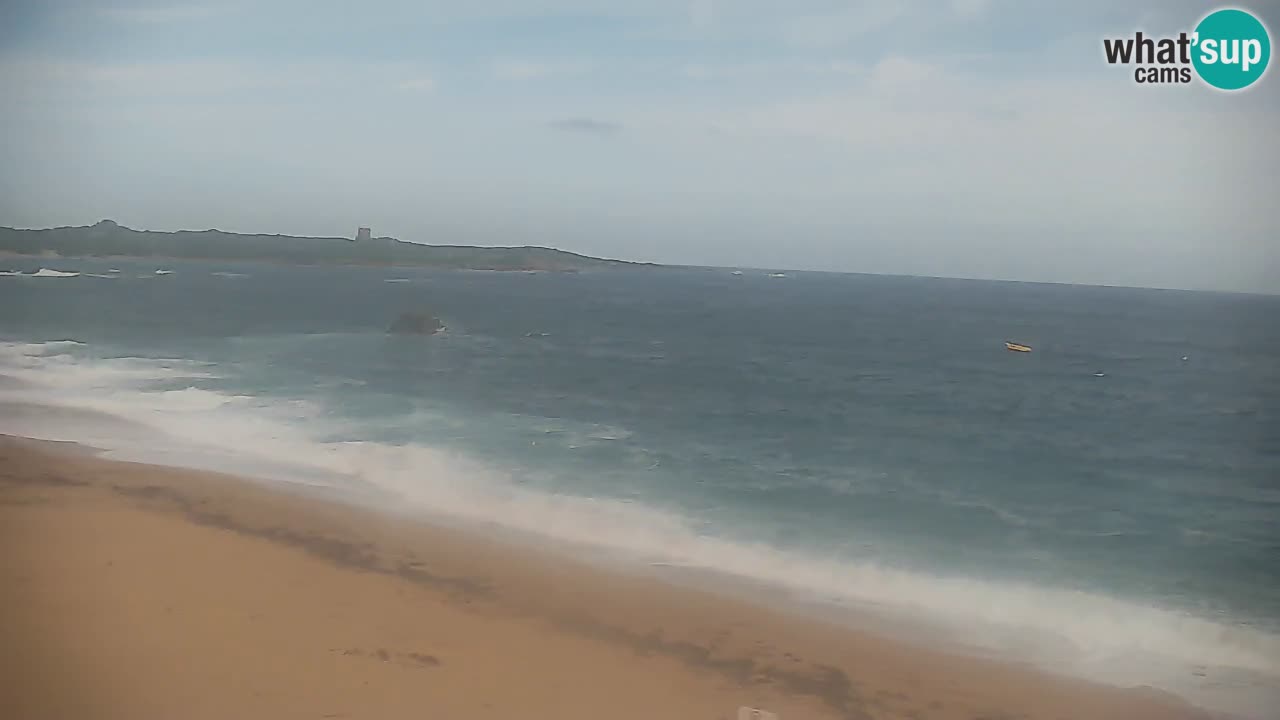 Vignola Mare Livecam Aglientu – Sardaigne