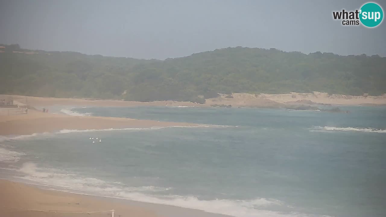 Strand Vignola Mare webcam Aglientu – Sardinien Live Cam