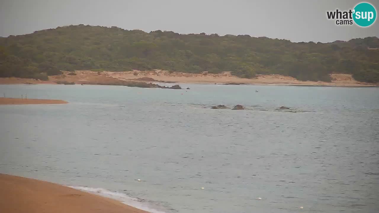Vignola Mare Livecam Aglientu – Sardaigne