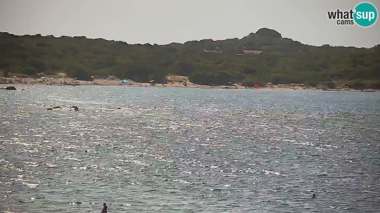 Vignola Mare web kamera Aglientu – Sardinija
