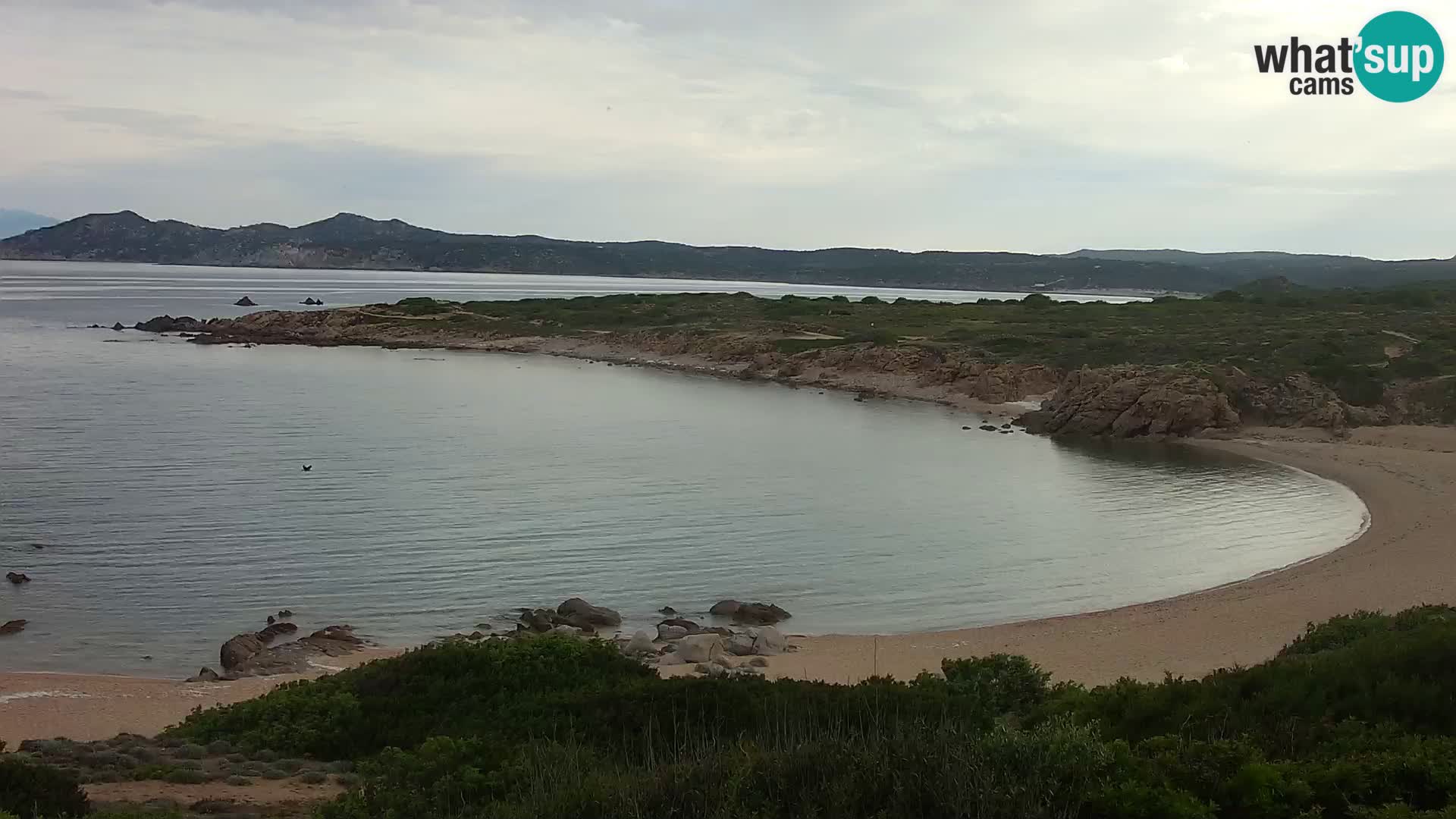 Live webcam Cala Pischina beach – Aglientu – Sardinia